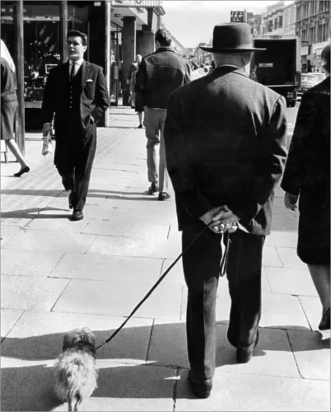 People with their dogs. This gentleman was spotted walking his dog along the high street