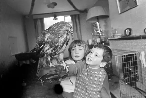 Animal  /  pet  /  unusual. Children with Buzzard. December 1970 71-00012