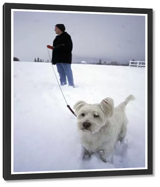 Craig Douglas and dog Timmy brave the elements on the Town Moor, Newcastle