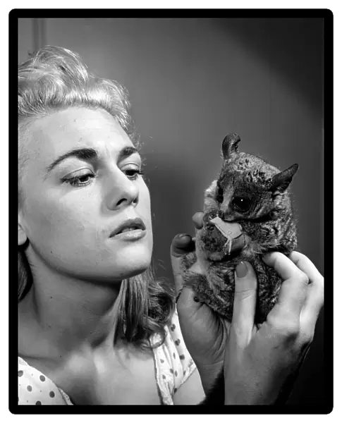 Dorinda Stevens seen here with her pet Bush Baby. 1959