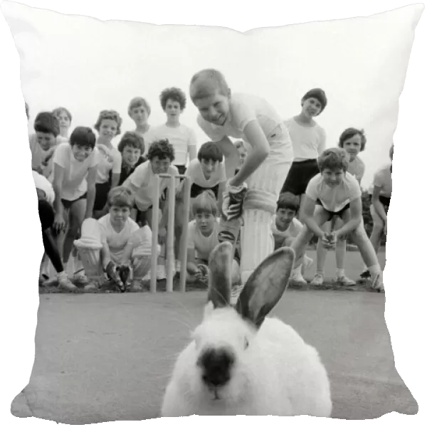 Animal: Humour: Sport. Rabbits on cricket pitch. July 1981 81-03773-004
