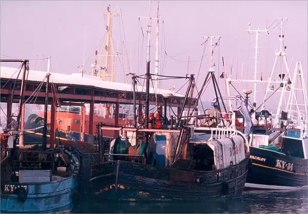 Fishing boats at North Shields Fish Quay in 1995