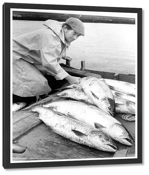Fisherman John Rutherford sorts his catch in 1980
