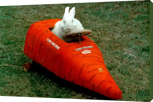 Inventor John Ward has built a car for his pet rabbit Eric. September 1996