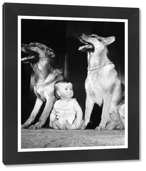 Animals-Children and dogs. March 1963 P006069