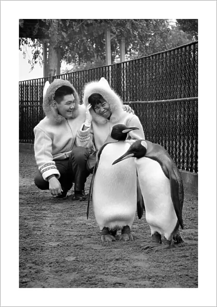 John and Kitty Williams the eskimos went to Regents Park Zoo this morning