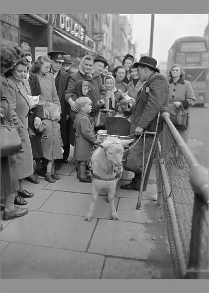 Goat pulled barral organ with grinder and monkey seen here in Brixton High Street
