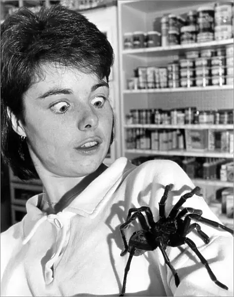 Pet shop assistant Andrea Youll with Harry, believed to be the largest spider in