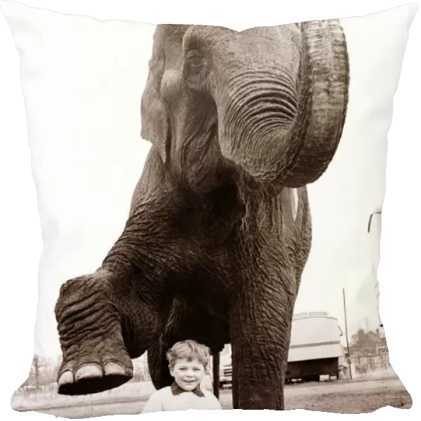 An elephant waves his trunk and lifts his foot in play with a young boy on a tricycle