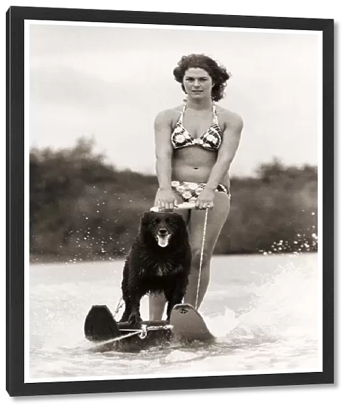 Mandy the Water Skiing dog with owner Ginny Venables at the Forest Lake Water Ski club in