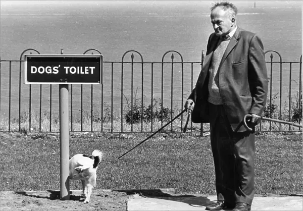 The dog toilet at Penarth sea front. June 1985