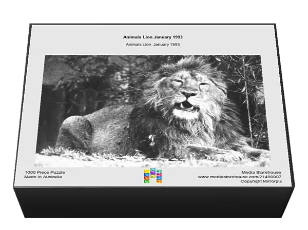 Animals Lion January 1993