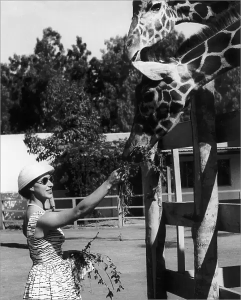 Princess Margaret photographed on an animal farm at Arusha