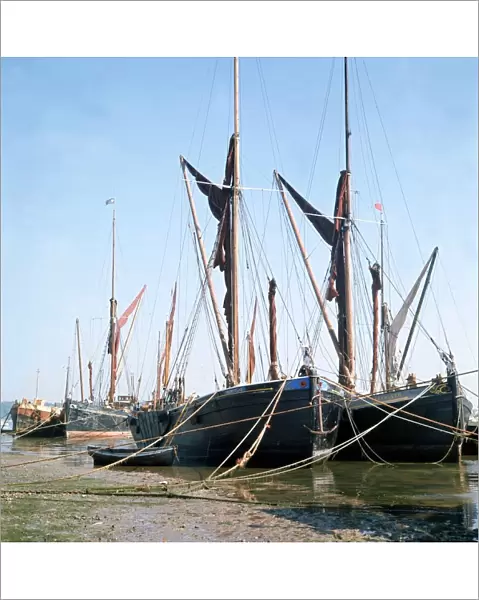 Sailing Barges moored on the River Thames. September 1973