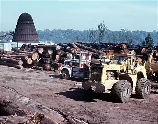 Logging trucks being unloaded at Sawmill near Orbost in Victoria, Australia