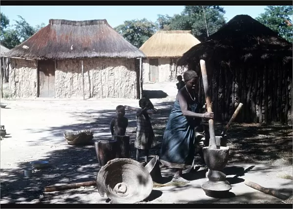 native woman pounding manioc in luando at the game reserve in central Angola