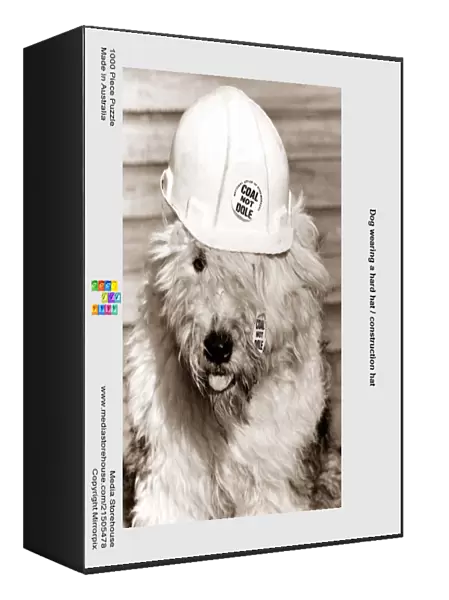 Dog wearing a hard hat  /  construction hat