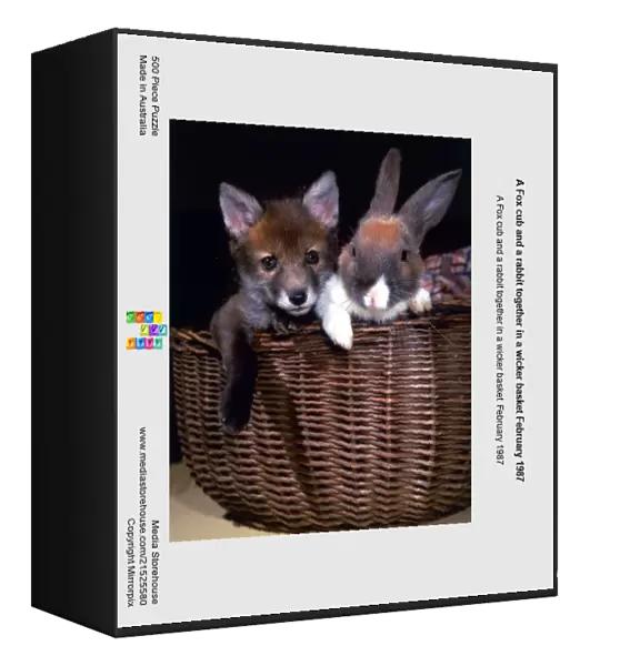 A Fox cub and a rabbit together in a wicker basket February 1987