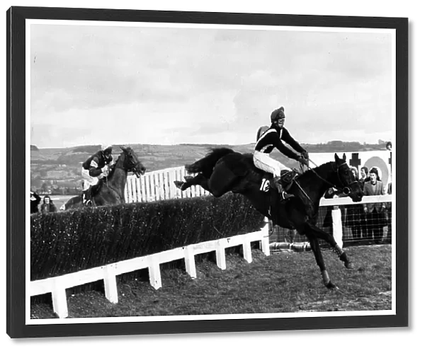 Silver Buck jumps the last on his way to victory in the Cheltenham Gold Cup 27th November