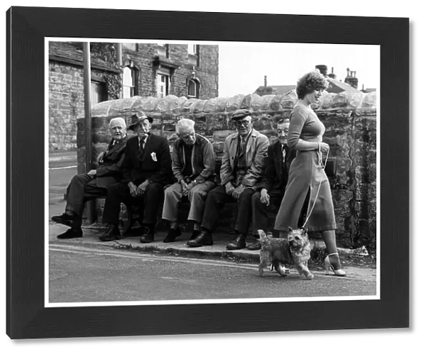Old People - Old men seated on a bench watch a girl walking her dog go by