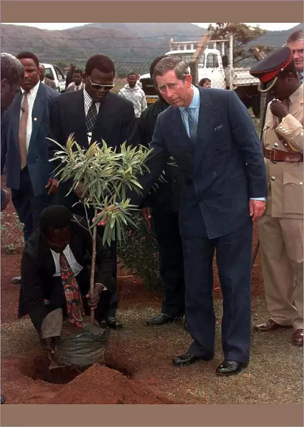 Prince Charles talked to this tree wishing it good luck as he planted it outside