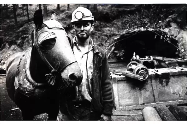 Coal - Miners - Miner Jonathan Jeffreys with his pit pony - Brecon - 12th June 1990