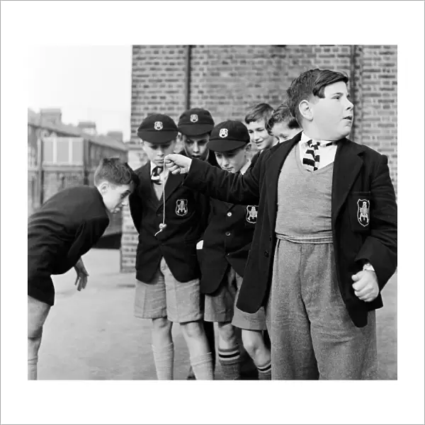 A group of friends taking part in a game of conkers at their school. September 1950