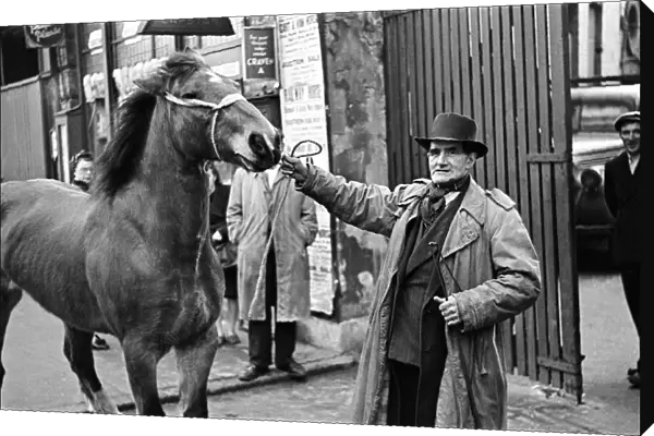 A man with a horse, standing outside the site of a cart and van horse auction