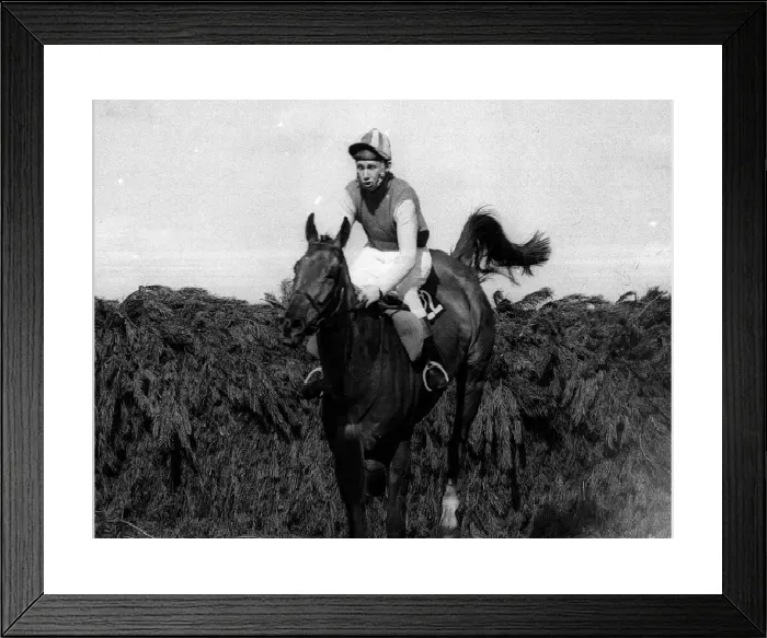 Framed Print : Red Alligator and Brian Fletcher Grand National Print 1968 Framed Print : Red Alligator and Brian Fletcher Grand National Print 1968