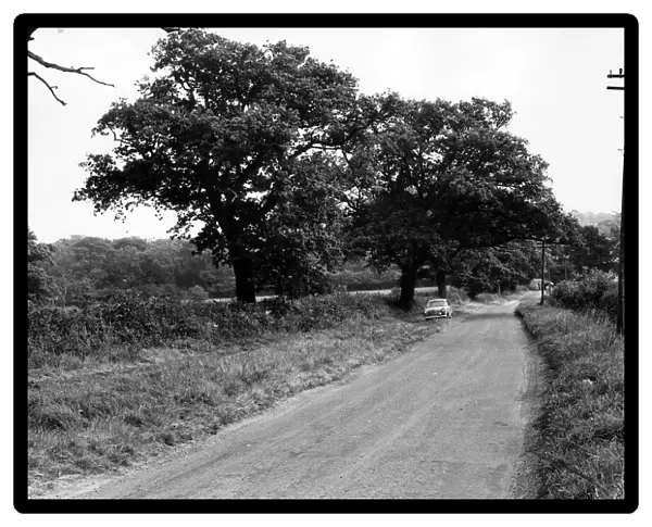 Gibbet Hill looking from Cryfield House Farm. 8th October 1964