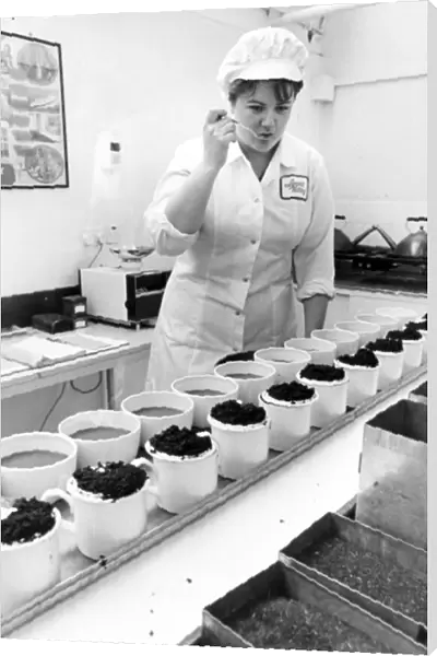 Quality controller Sally Nicholas checks the tea for taste at the Tetley Tea factory