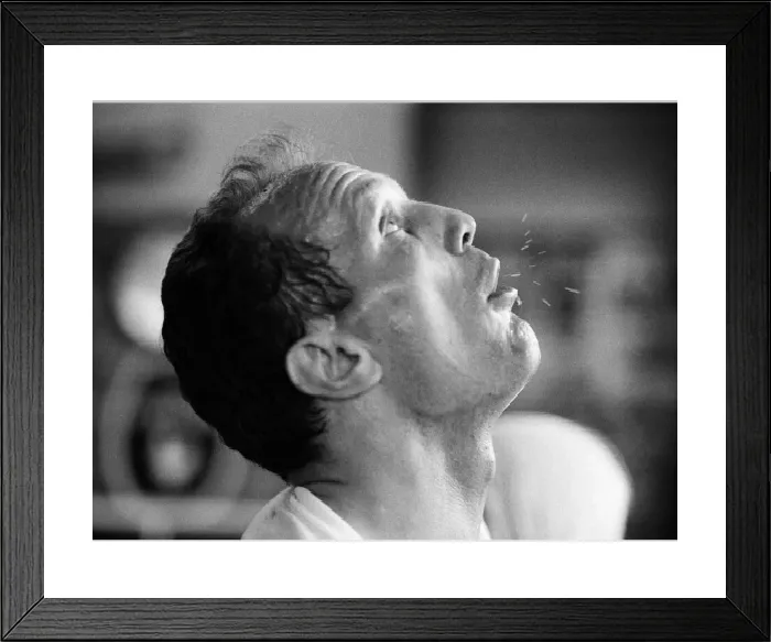 Show Product Preview