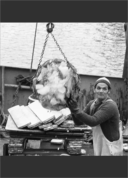 Crewman of the Trawler Marbi Larde seen here unloading their catch at the Hull Fish Dock