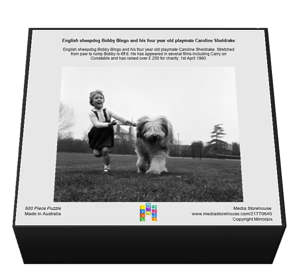 English sheepdog Bobby Bingo and his four year old playmate Caroline Sheldrake