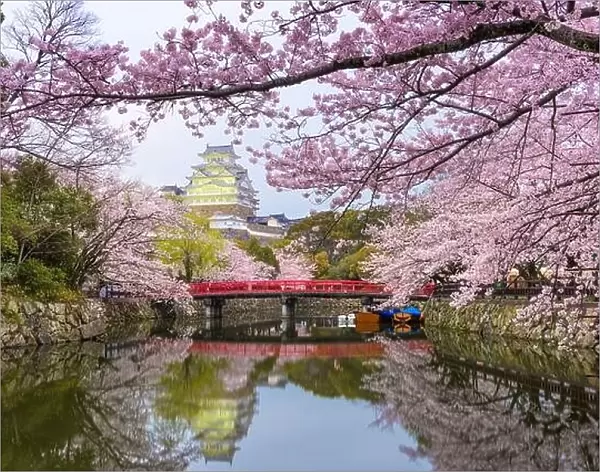 Himeji, Japan at Himeji Castle's surrounding moat in the spring season