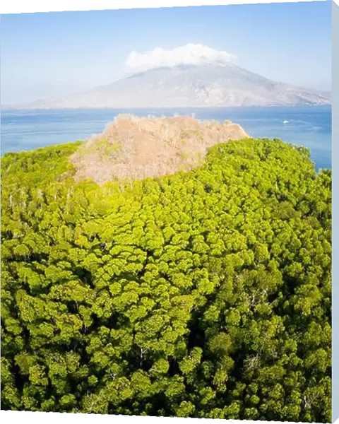 A mangrove forest fringes an island near the volcano of Iliape in the Lesser Sunda Islands, east of Flores. This area is high in marine biodiversity