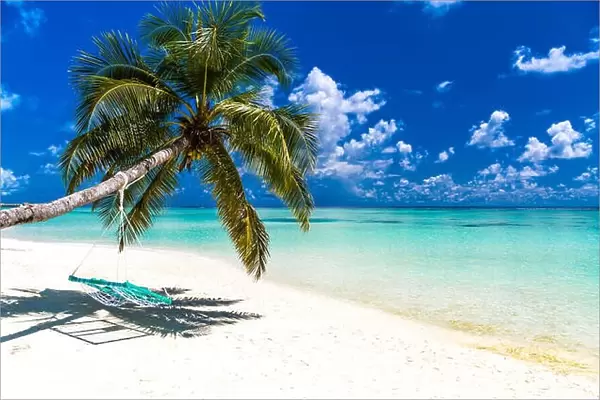 Amazing beach scenery in Maldives