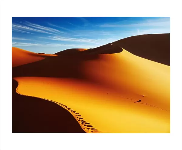 Sand dune with footprints at sunrise, Sahara Desert, Algeria