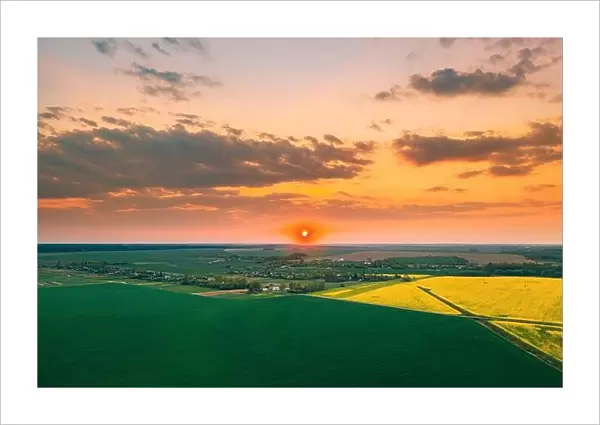 Aerial View Of Green Meadow And Field With Blooming Canola Yellow Flowers. Top View Of Blossom Plant, Rapeseed Meadow Grass Landscape At Sunset Sunris