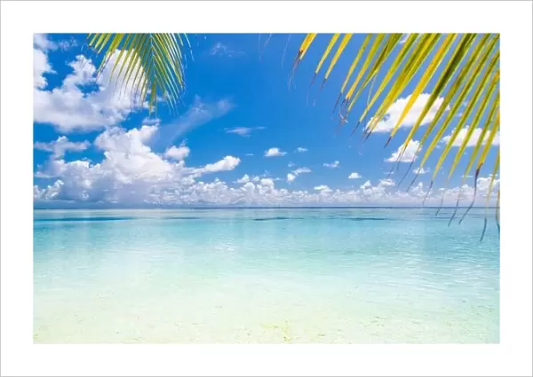 Beautiful beach with palm trees and moody sky. Summer vacation travel holiday background concept. paradise beach. Luxury travel summer holiday