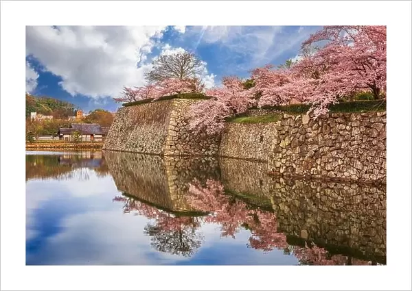 Himeji, Japan at Himeji Castle moat in spring season