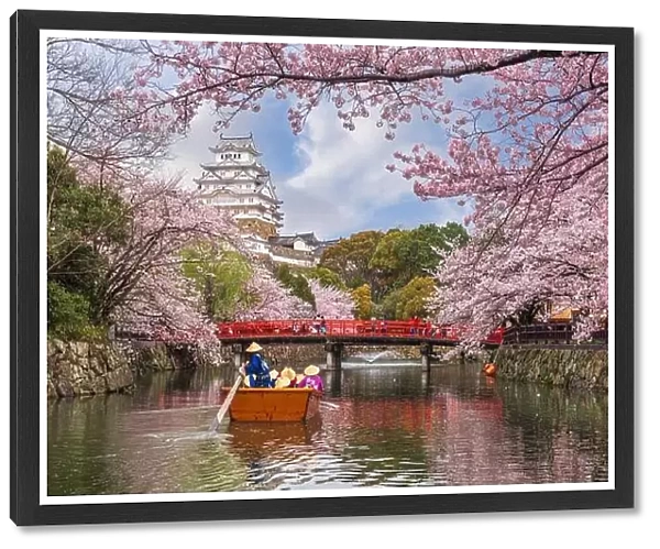 Himeji, Japan at Himeji Castle in spring season