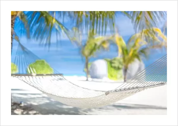 Sunny tropical beach with palm trees and traditional braided hammock. Tropical island paradise, exotic travel and summer holiday carefree or freedom