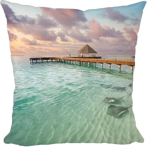 Fantastic sunset beach shore, shallows with sting rays and sharks in Maldives islands. Luxury resort hotel, wooden jetty, over water villa, bungalow
