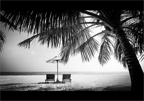 Black and white view of beautiful beach with palm leaves. Summer landscape in dramatic process. Chairs on beach, tropical vacation holiday