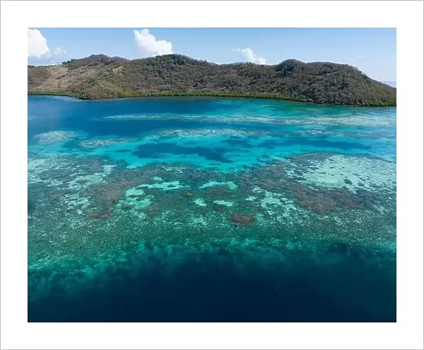 A healthy coral reef thrives off the Pulau Besar north of Flores, Indonesia. This exotic, tropical region is known for its high marine biodiversity