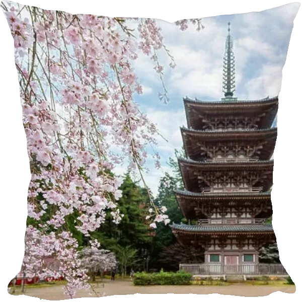 Five Storied Pagoda with Japan cherry blossom in Daigoji Temple in Fushimi Ward, Kyoto City, Japan. Cherry blossom season in Kyoto, Japan