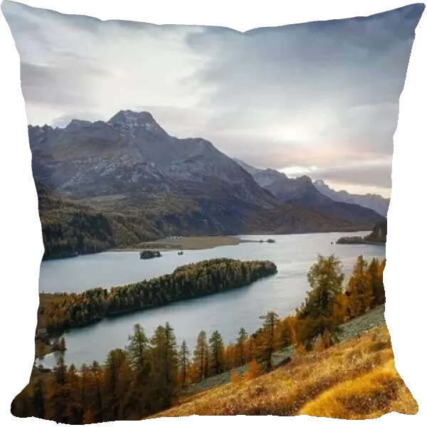 Gorgeous view on autumn lake Sils (Silsersee) in Swiss Alps mountains. Colorful forest with orange larch. Switzerland, Maloja region, Upper Engadine