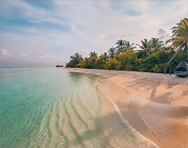 Tropical beach landscape. Tranquil nature scenery, palm trees sand calm sea water paradise island coast. Tropical beach view, soft sunlight, clouds