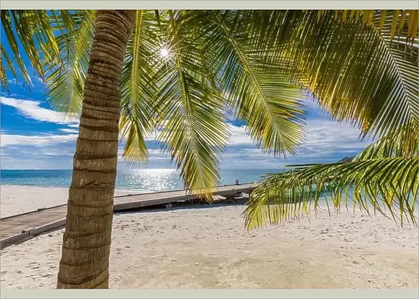 Palm leaves in the sun calm tropical beach landscape. Relaxing palms on the sunny beach of coral island, sun rays, beams. Exotic nature, sea view